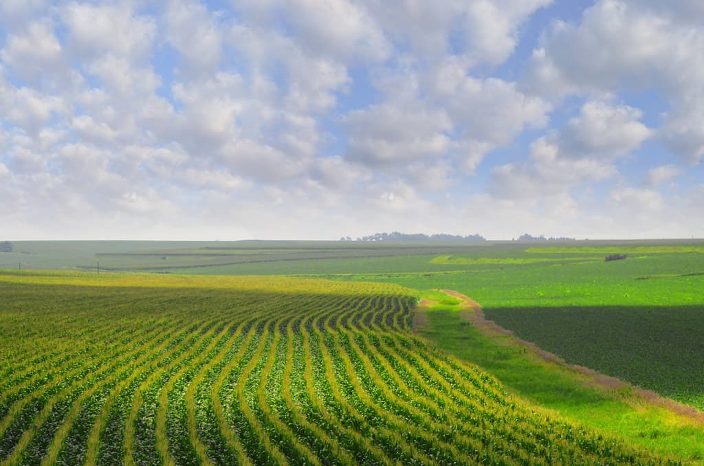 Nebraska Banks